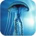 3D Jellyfish HD Live Wallpaper 1.6.3