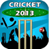 Cricket 2013 - New Game icon
