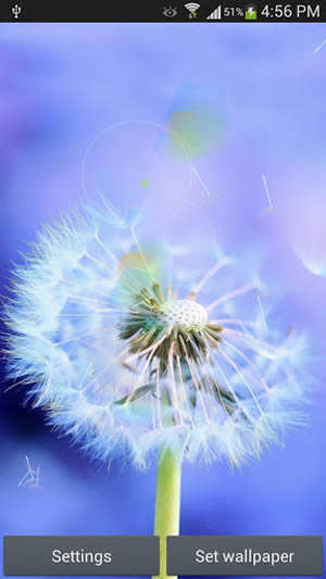 Galaxy S4 Sun And Dandelion screenshot 3