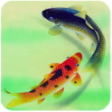 Fish GO Launcher EX Theme icon