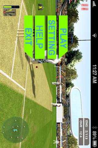 Cricket World Cup game screenshot 2