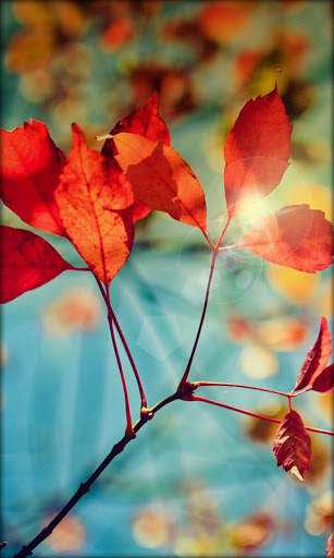 Galaxy S4 Live Wallpaper screenshot 3