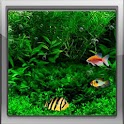 Fish Tank 3d Live Wallpaper icon