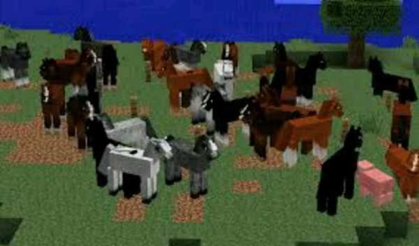 Horse Mod 3 تصوير الشاشة