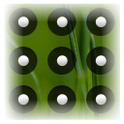 Locale Lock Pattern Plug-in icon