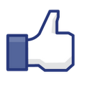 Fastest Facebook icon
