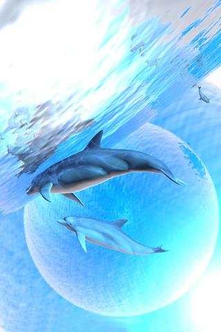 Beatiful Dolphin Wallpapers 4 تصوير الشاشة