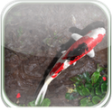 3D Koi Pond Live Wallpaper icon
