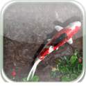 3D Koi Pond Live Wallpaper 1.2