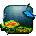 G3 Fishes 3D Live Wallpaper icon