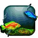 G3 Fishes 3D Live Wallpaper