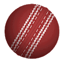 I.P.L - Cricket LIVE 2014 icon
