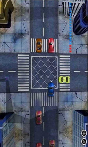 Street Driving Test screenshot 2