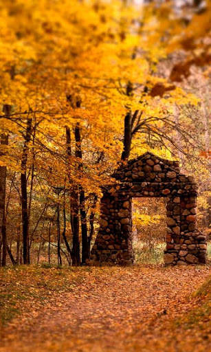 Autumn HD Live Wallpapers screenshot 1