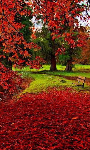 Autumn HD Live Wallpapers screenshot 2