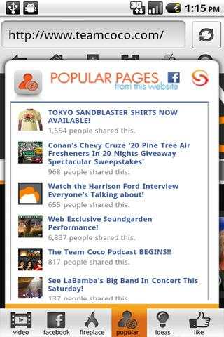 Skyfire Web Browser 4.0 screenshot 2