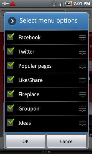 Skyfire Web Browser 4.0 screenshot 4