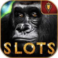 Congo Slots