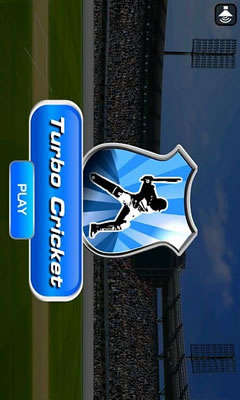 Turbo Cricket screenshot 1