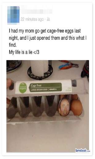 Facebook Status funny quotes screenshot 1