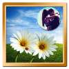 Nature Photo Sticker Frame on 9Apps