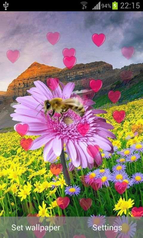 Flowers Live Wallpaper screenshot 7
