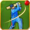 Real Cricket 2015