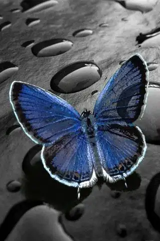 Best Lock Screen Wallpaper APK Download 2023 - Free - 9Apps Best Lock Screen Wallpaper APK Download 2023 - Free - 9Apps