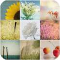 Photos, Wallpapers Collection on 9Apps