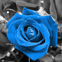 3D Roses Wallpaper icon