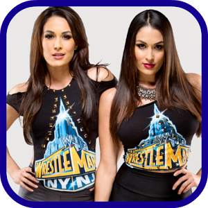 WWE Divas Game 1.0