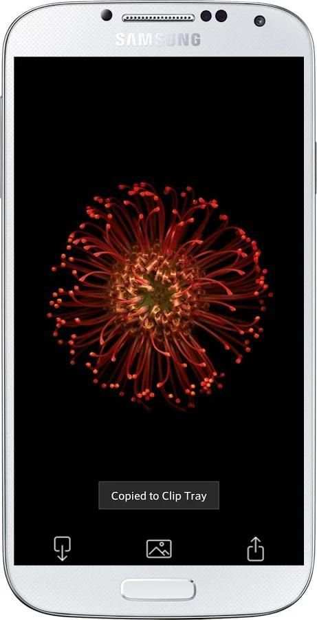 Wallpaper iPhone 6 screenshot 3