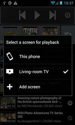 YouTube Remote screenshot 2