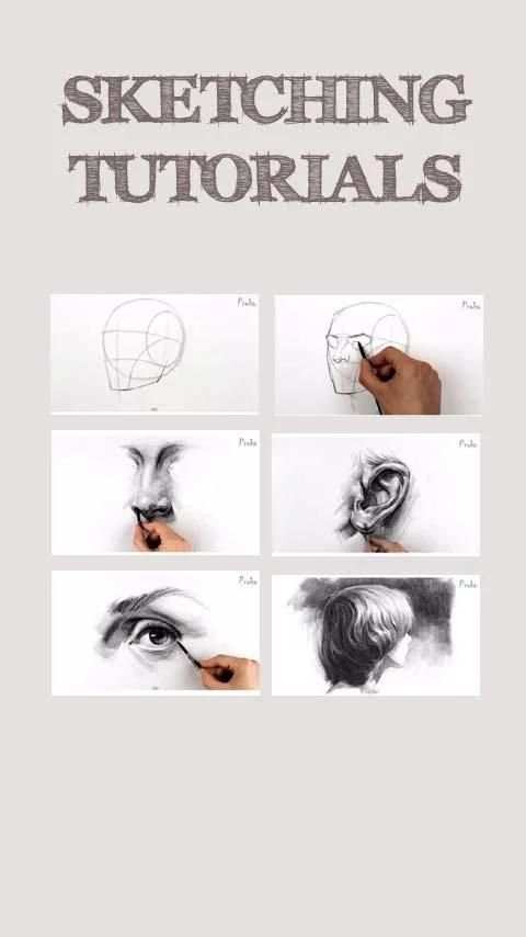 Sketching Tutorials 5 تصوير الشاشة