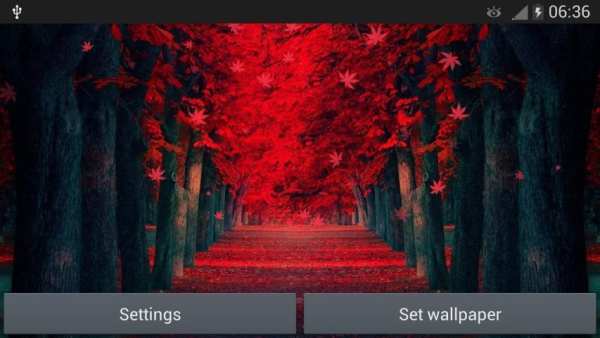 Red Leaves Live WallPaper screenshot 4
