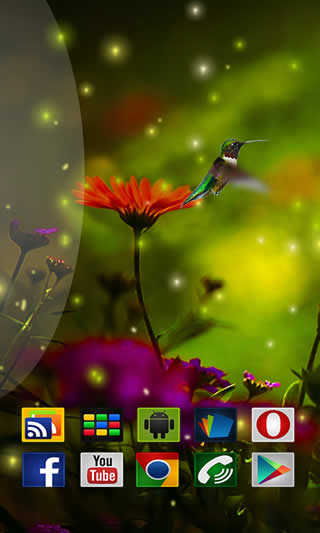 Birds HD in Live Wallpaper скриншот 1