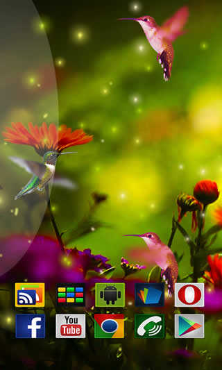 Birds HD in Live Wallpaper скриншот 2
