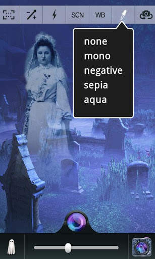 Ghost Camera + screenshot 3