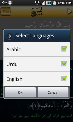Surah Yaseen Audio+Urdu Tarjma screenshot 4