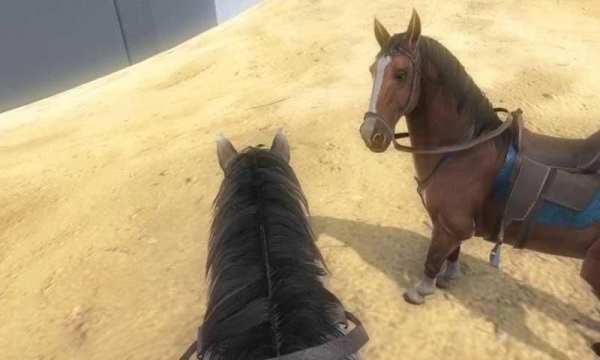 Horse Simulator : Cowboy Rider स्क्रीनशॉट 7