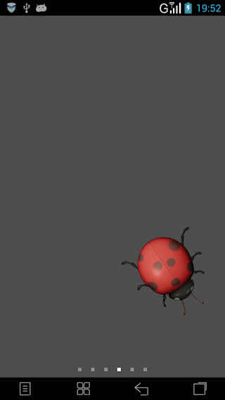 Solo Coccinella 3D LWP screenshot 1