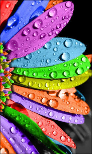Galaxy S3 Live Wallpaper screenshot 4