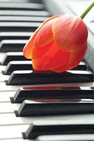 3D Piano Ringtone screenshot 1