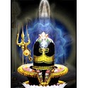 OM Namah Shivaya icon