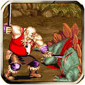 Dinosaur Fighter icon