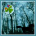Dark_Forest Theme GO Launcher EX 1.0