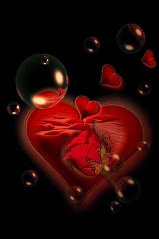 Love Rose Live Wallpaper 4 تصوير الشاشة