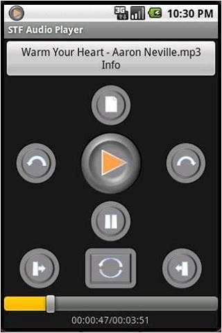 STF Audio Player screenshot 1