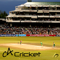 C4 Cricket icon