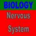 Nervous System 1.0.0